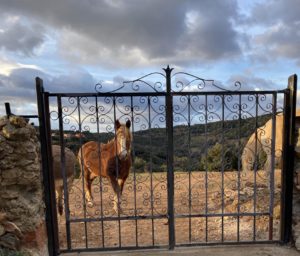 gîte 6 personnes avec vue sur nature