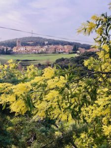 c'est le printemps à Oms