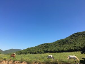 gîte 6 personnes à louer au milieu de la nature