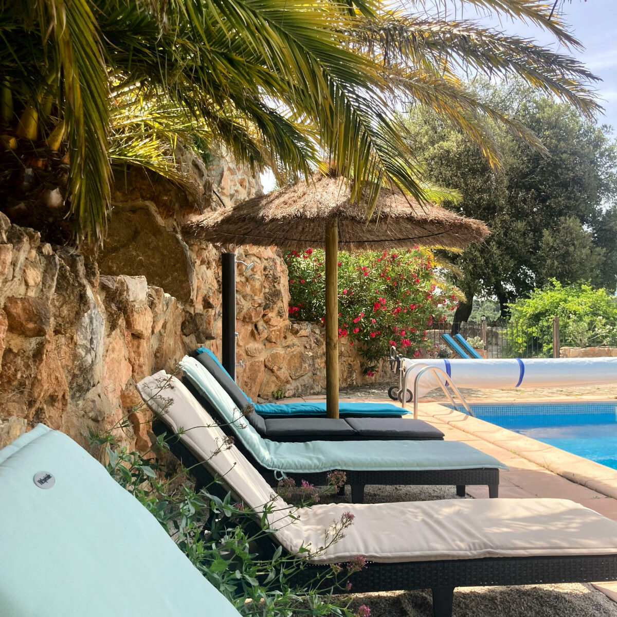 piscine de rêve